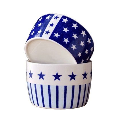 ceramic bowl with star decal ceramic pet bowls new bone china soup bowl